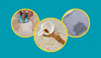 Pet Stain & Odor Removal